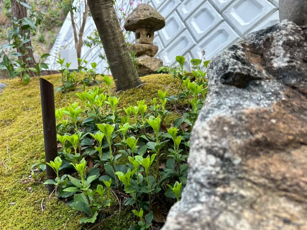 K様邸宅